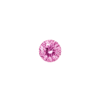 Sakura Pink
