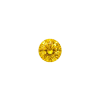 Canary Yellow