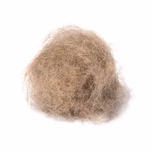 Hair